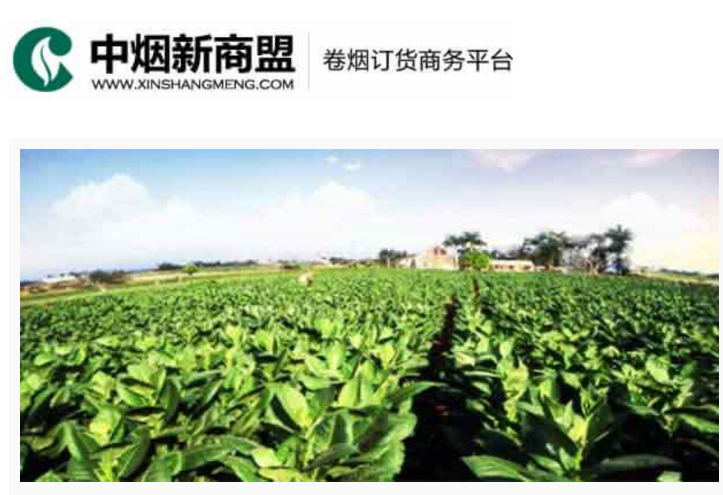 中烟新商盟卷烟订货商务平台-在线购彩
